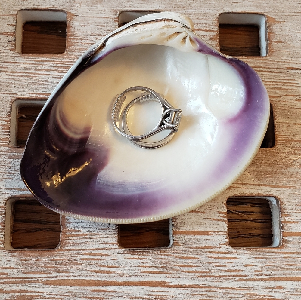 🌊Quahog Wampum Seashell ring dish #1 🐚